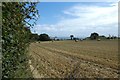 WV6947 : Farmland beside La Rue du Champ by DS Pugh